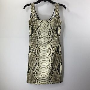 BVM Snake Print Dress with Scooped Neckline